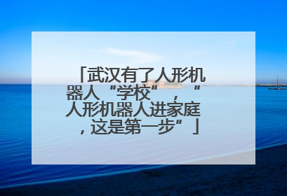 武汉有了人形机器人“学校”，“人形机器人进家庭，这是第一步”