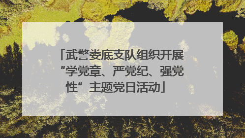 武警娄底支队组织开展“学党章、严党纪、强党性”主题党日活动