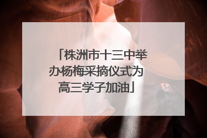 株洲市十三中举办杨梅采摘仪式为高三学子加油