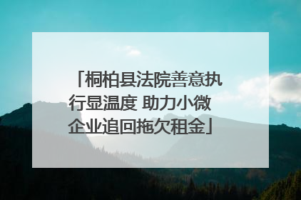 桐柏县法院善意执行显温度 助力小微企业追回拖欠租金