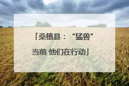桑植县：“猛兽”当前 他们在行动