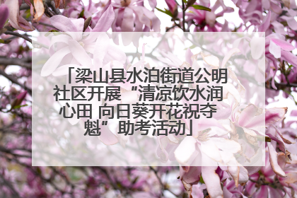 梁山县水泊街道公明社区开展“清凉饮水润心田 向日葵开花祝夺魁”助考活动