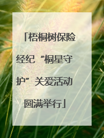 梧桐树保险经纪“桐星守护”关爱活动圆满举行