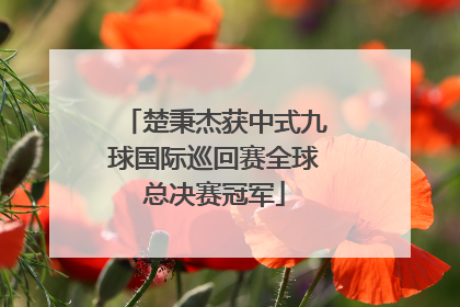 楚秉杰获中式九球国际巡回赛全球总决赛冠军