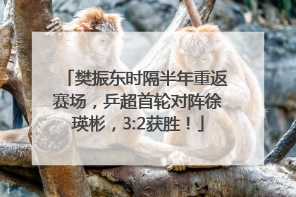 樊振东时隔半年重返赛场，乒超首轮对阵徐瑛彬，3:2获胜！