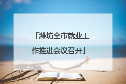 潍坊全市就业工作推进会议召开