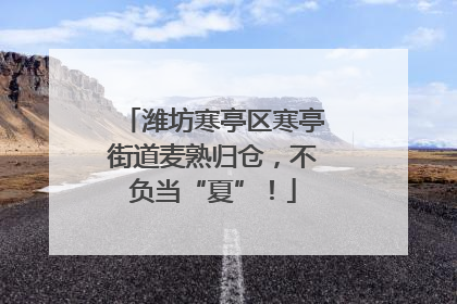 潍坊寒亭区寒亭街道麦熟归仓，不负当“夏”！