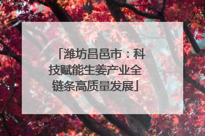 潍坊昌邑市：科技赋能生姜产业全链条高质量发展
