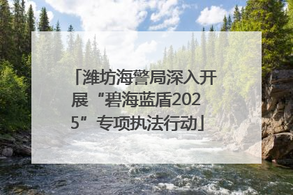 潍坊海警局深入开展“碧海蓝盾2025”专项执法行动
