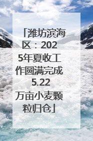潍坊滨海区：2025年夏收工作圆满完成 5.22万亩小麦颗粒归仓