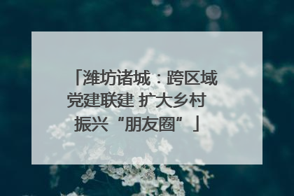 潍坊诸城：跨区域党建联建 扩大乡村振兴“朋友圈”
