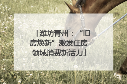 潍坊青州：“旧房焕新”激发住房领域消费新活力