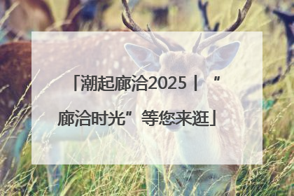 潮起廊洽2025丨“廊洽时光”等您来逛