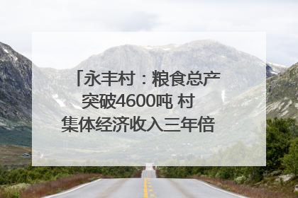 永丰村：粮食总产突破4600吨 村集体经济收入三年倍增｜牵挂的村