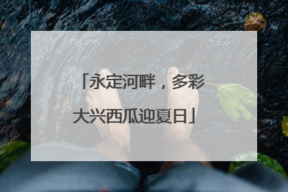 永定河畔，多彩大兴西瓜迎夏日