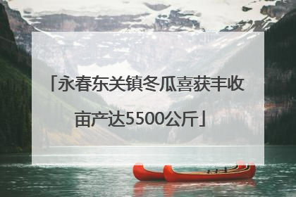 永春东关镇冬瓜喜获丰收 亩产达5500公斤
