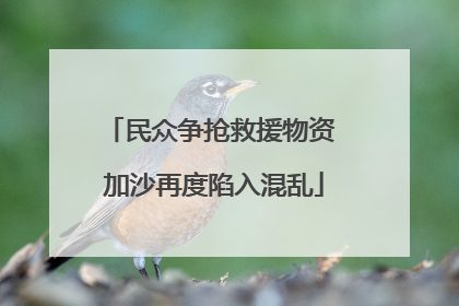 民众争抢救援物资 加沙再度陷入混乱