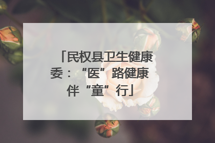 民权县卫生健康委：“医”路健康伴“童”行