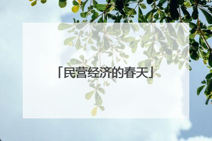 民营经济的春天