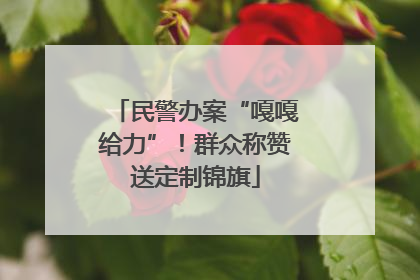 民警办案“嘎嘎给力”！群众称赞送定制锦旗
