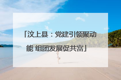 汶上县：党建引领聚动能 组团发展促共富