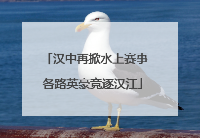 汉中再掀水上赛事 各路英豪竞逐汉江
