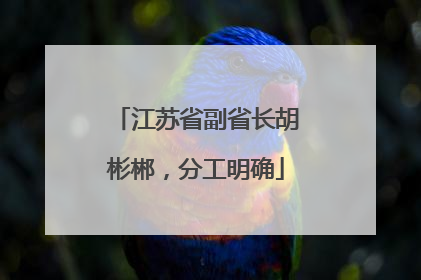 江苏省副省长胡彬郴，分工明确