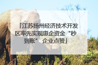 江苏扬州经济技术开发区率先实现惠企资金“秒到账” 企业点赞