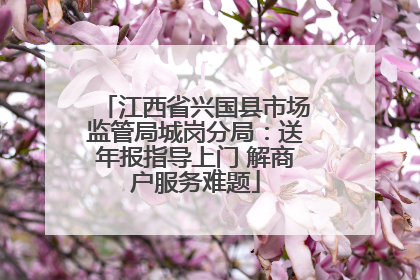 江西省兴国县市场监管局城岗分局：送年报指导上门 解商户服务难题