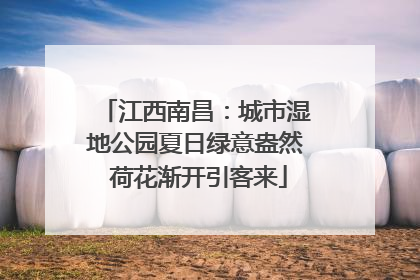 江西南昌：城市湿地公园夏日绿意盎然 荷花渐开引客来