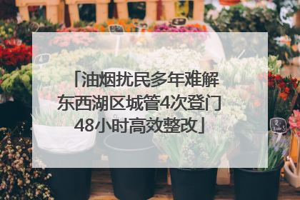 油烟扰民多年难解 东西湖区城管4次登门48小时高效整改