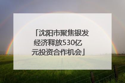 沈阳市聚焦银发经济释放530亿元投资合作机会