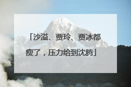 沙溢、贾玲、贾冰都瘦了，压力给到沈腾