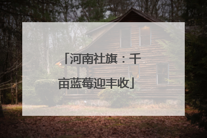 河南社旗：千亩蓝莓迎丰收