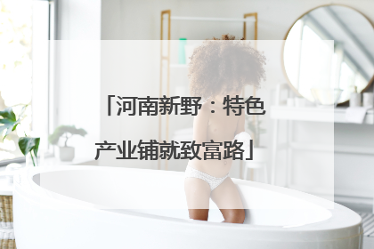 河南新野：特色产业铺就致富路