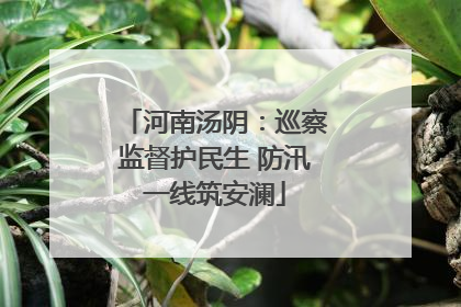 河南汤阴：巡察监督护民生 防汛一线筑安澜