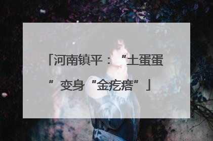 河南镇平：“土蛋蛋”变身“金疙瘩”