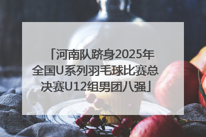河南队跻身2025年全国U系列羽毛球比赛总决赛U12组男团八强