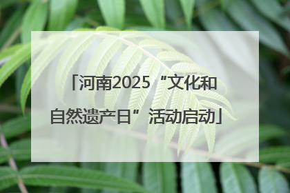 河南2025“文化和自然遗产日”活动启动