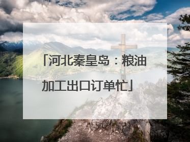 河北秦皇岛：粮油加工出口订单忙
