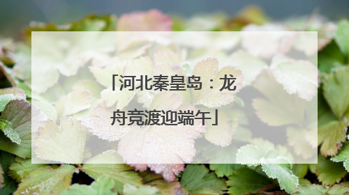 河北秦皇岛：龙舟竞渡迎端午