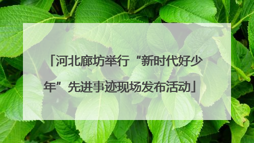 河北廊坊举行“新时代好少年”先进事迹现场发布活动