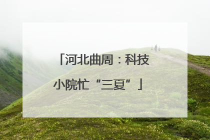 河北曲周：科技小院忙“三夏”
