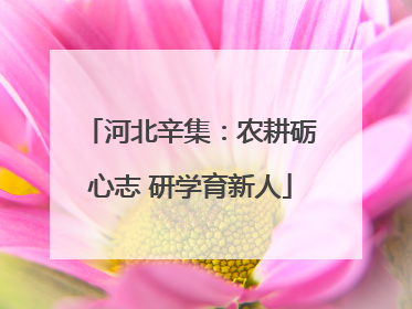 河北辛集：农耕砺心志 研学育新人