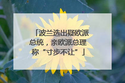 波兰选出疑欧派总统，亲欧派总理称“寸步不让”