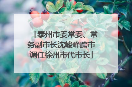 泰州市委常委、常务副市长沈峻峰跨市调任徐州市代市长