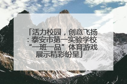 活力校园，创意飞扬：泰安市第一实验学校“一班一品”体育游戏展示精彩纷呈