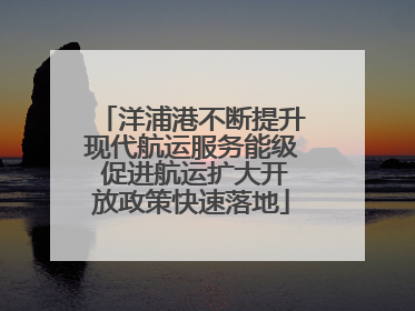 洋浦港不断提升现代航运服务能级 促进航运扩大开放政策快速落地