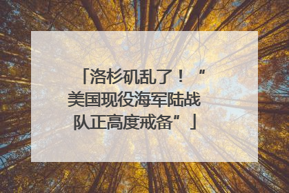 洛杉矶乱了！“美国现役海军陆战队正高度戒备”