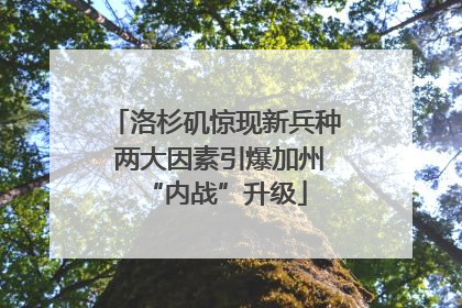 洛杉矶惊现新兵种 两大因素引爆加州“内战”升级